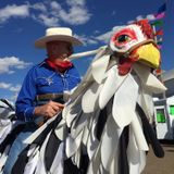 Chicken Rider