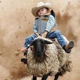 MUTTON BUSTIN