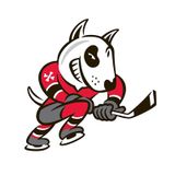 Oshawa vs. Niagara (Pre-Season)