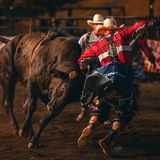 Xtreme Bulls Finale