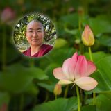 Dream Yoga Talk and Contemplative Practice Retreat with Ani Choyang