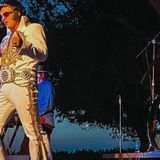 Elvis - Jeremy Elvis Pearce