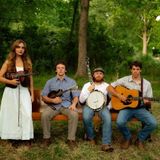 Redbud Bluegrass
