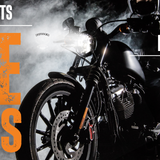 Bike Night