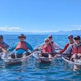 Clear Kayak Tours Daily
