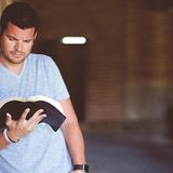 Bible Studies