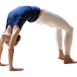 Applied Anatomy|| Lower Body :The Pelvis