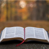 WOMANS BIBLE STUDY