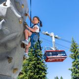 Climbing Wall
