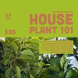 Houseplant 101