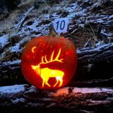 Halloween Barr Lake