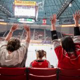 Charlotte Checkers vs. Springfield Thunderbirds