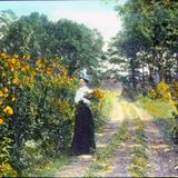 On Exhibit: Fairfield 100 Years Ago — the Hand-Colored Lantern Slides of Mabel Osgood Wright
