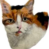 Felted pet portraits Tuesdays