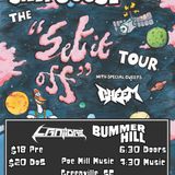 WTTF Presents : Silly Goose and Cheem W / Laniidae & Bummer Hill