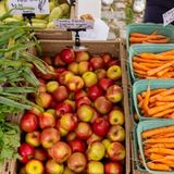 Central Park Farm Stand