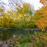 Central Park Woodland Walk: The North Woods