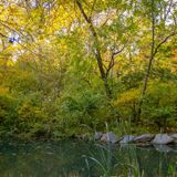 Central Park Woodland Walk: The North Woods
