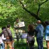 Guided Park Tours