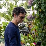 Fall Plant Sale