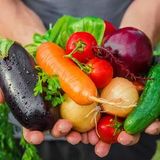 Garden Talks in Rancho San Rafael Community Garden!