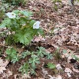 Organic or Mineral? Soil 101 for Gardeners