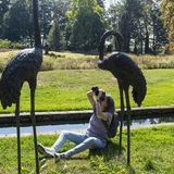 Photography in the Gardens