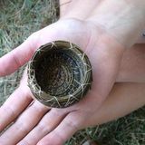 Pine Needle Basketry with ReWild Maine