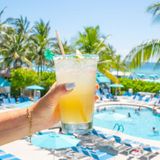 Brunch In Paradise