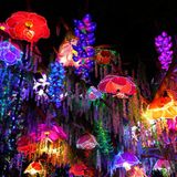 ILLUMINATURE
