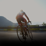 Dancing Bear's 12th Annual Bike Bash