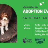 Adoption Event at Forgotten Star Brewing