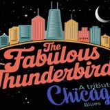 The Fabulous Thunderbirds A Tribute to...