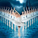 World Ballet Company: Swan Lake