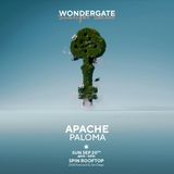SUNLIGHT SOCIAL W/ APACHE