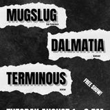 Mugslug, Dalmatia and TERMINIOUS