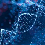 2026 Cancer Genetics and Prevention Program Patient Symposium