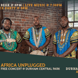Africa Unplugged