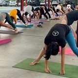 Free Yoga in the Park