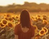 Sunflowers at Sunset
