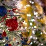 Festival of Trees