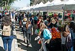 Farmers Market