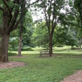 Walk With a Doc at The Arboretum