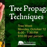 Tree Propagation Techniques