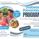 Diabetes Prevention Program