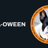 Howl-oween