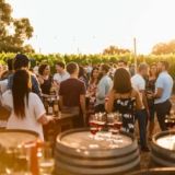 Group Tasting