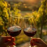 The Terroir Collection Experience
