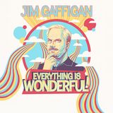 Jim Gaffigan - Everything is Wonderful!
