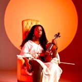 SIDE SET: Avid Violin